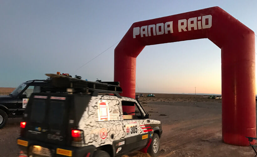Panda13