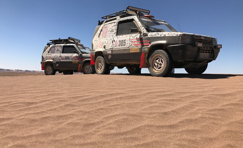 Panda5